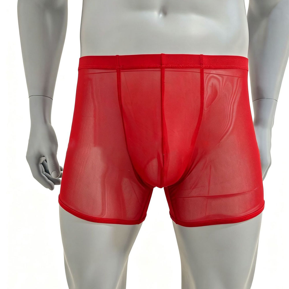 กางเกงบ็อกเซอร์ชายผ้าตาข่ายบาง - Long Leg Trunk Men บทวิจารณ์และราคา